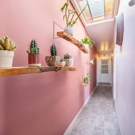 Laluz - Groot Op Wandelafstand Zee *